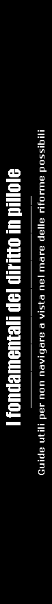 Casella di testo:   I fondamentali del diritto in pillole                                                                                                                                                                                                                                                                                                                                                                     Guide utili per non navigare a vista nel mare delle riforme possibili 